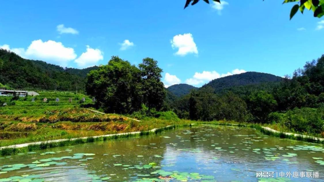 快手自助业务下单流程：快手账号快速增粉秘诀与操作指南_抖音低价自助下单平台